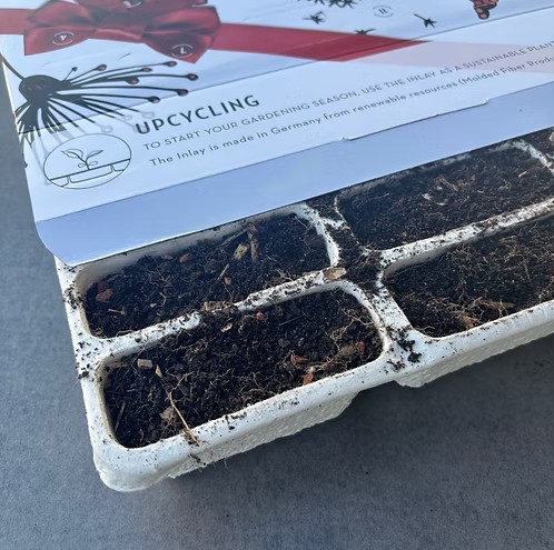 Adventskalender für Bienenfreunde – Bild 4