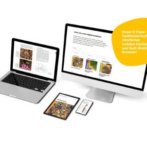 Das Schweizerische Bienenbuch: ONLINE-Version